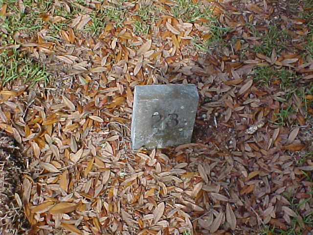  Unknown Gravestone Photo