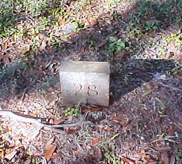  Unknown Gravestone Photo