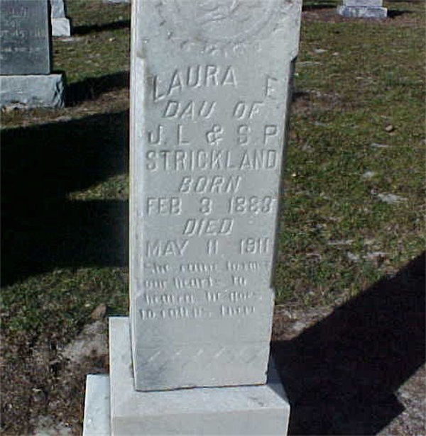 Laura  E. Strickland Gravestone Photo