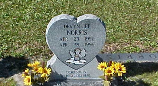 Devyn Lee Norris Gravestone Photo