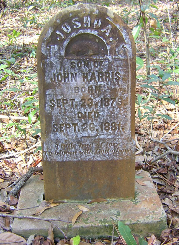 Joshua Harris Gravestone Photo