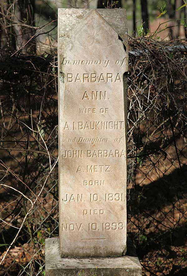 Barbara Ann Bauknight Gravestone Photo