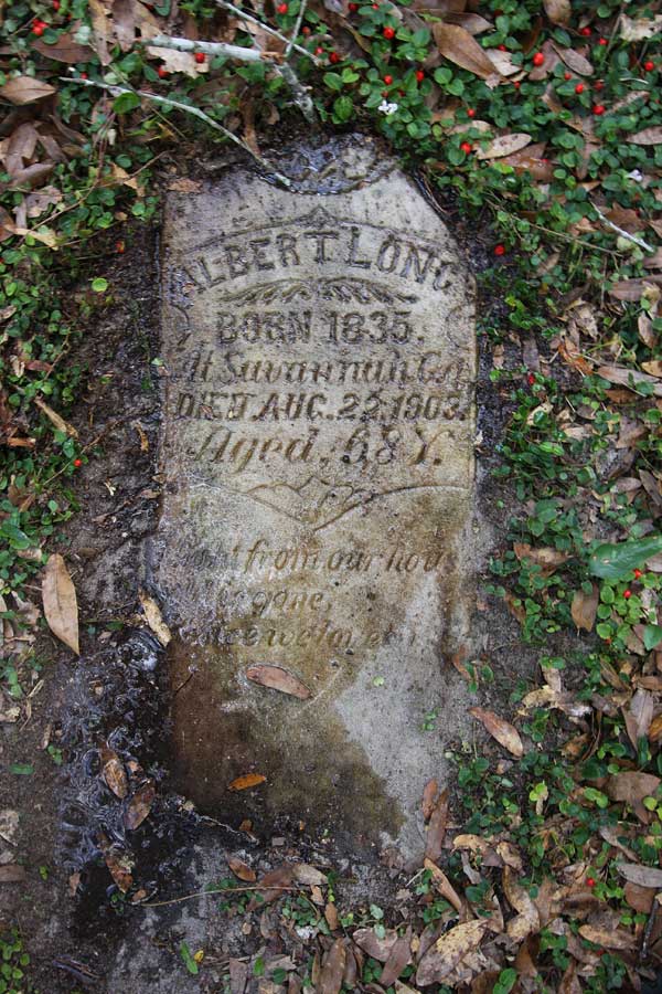 Albert Long Gravestone Photo