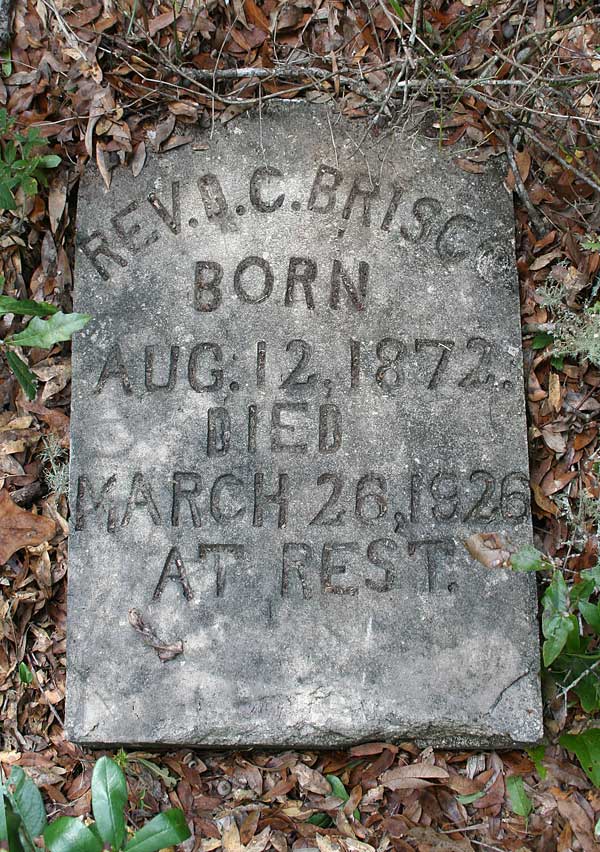 D.C. Brisco Gravestone Photo