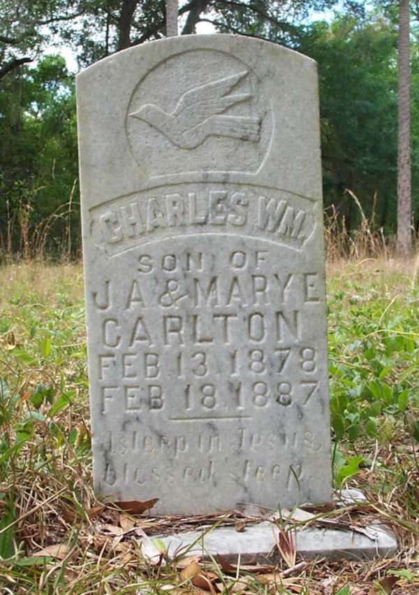 Charles Wm Carlton Gravestone Photo