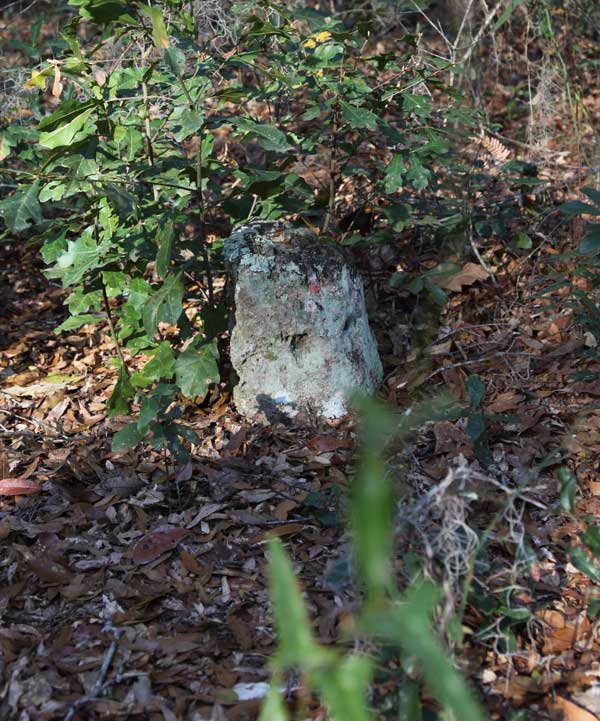  Unknown Gravestone Photo