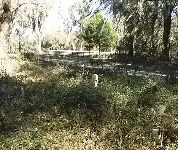  Wview Gravestone Photo