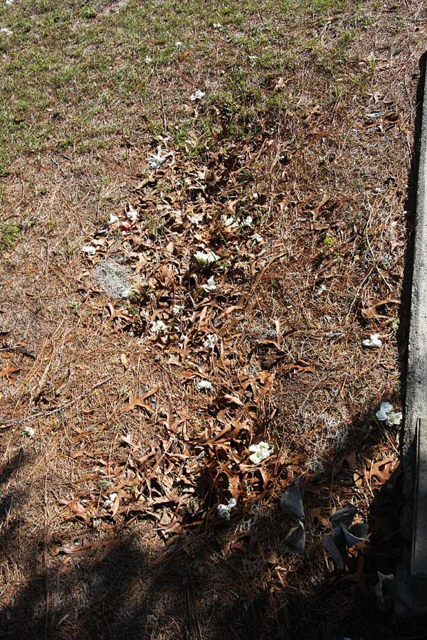  Unknown Gravestone Photo