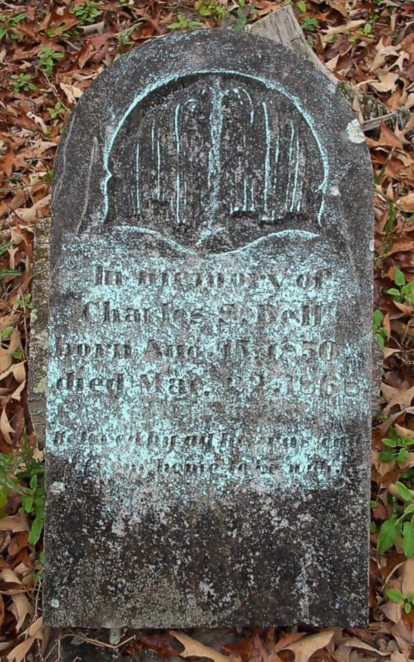 Charles S. Dell Gravestone Photo