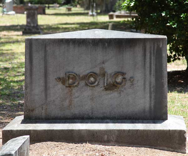  Doig Family Stone Gravestone Photo