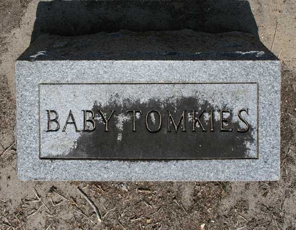 Baby Tomkies Gravestone Photo