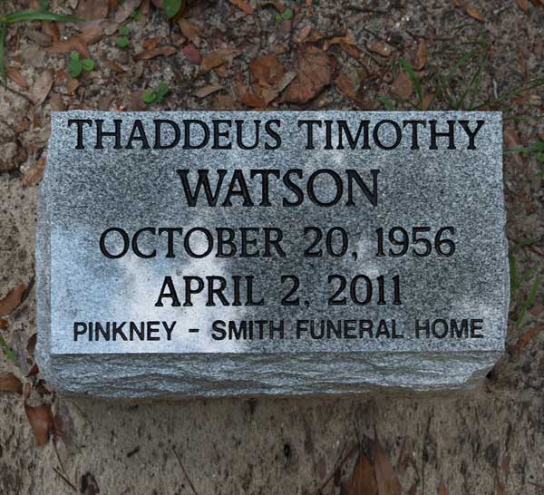 Thaddeus Timothy Watson Gravestone Photo