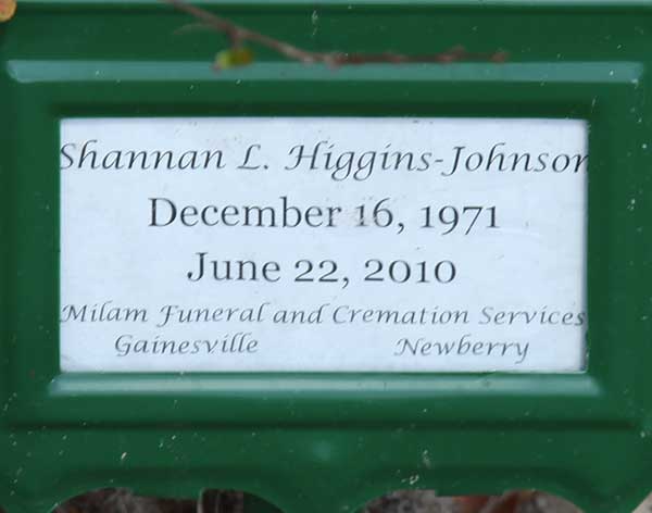 Shannan L. Higgins-Johnson Gravestone Photo