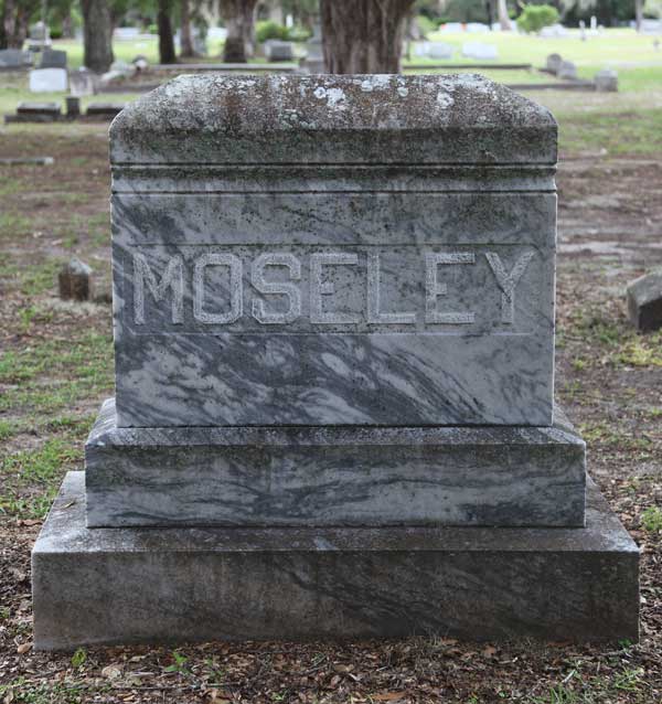 Moseley family monument Gravestone Photo
