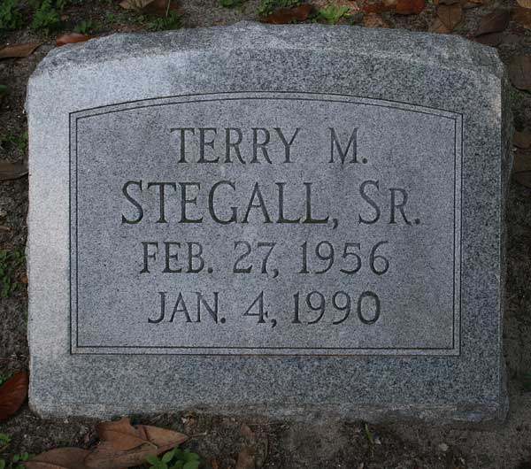 Terry M. Stegall Gravestone Photo