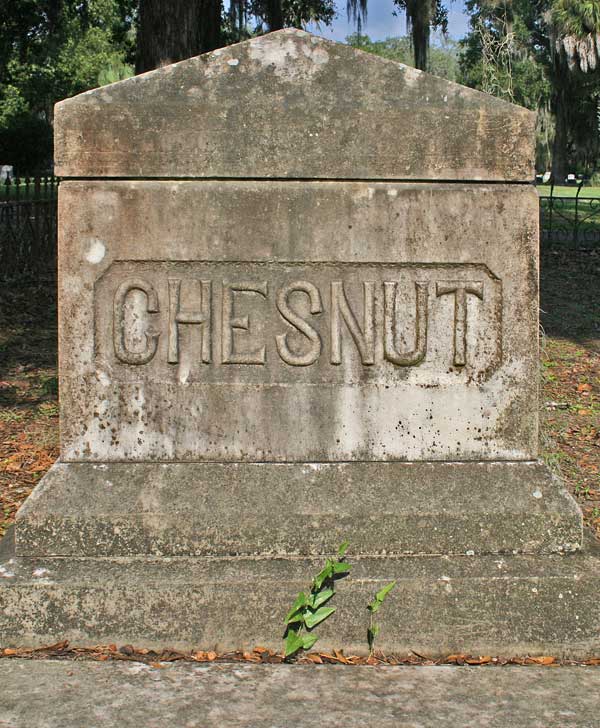  Chesnut monument Gravestone Photo