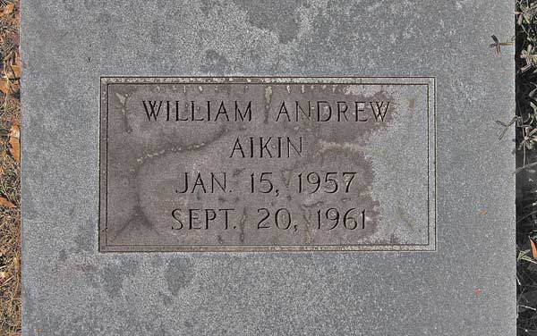 William Andrew Aikin Gravestone Photo