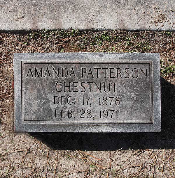 Amanda Patterson Chestnut Gravestone Photo