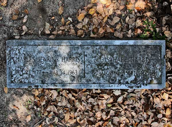 Charles Jenkins & Lois Hale Harris Gravestone Photo