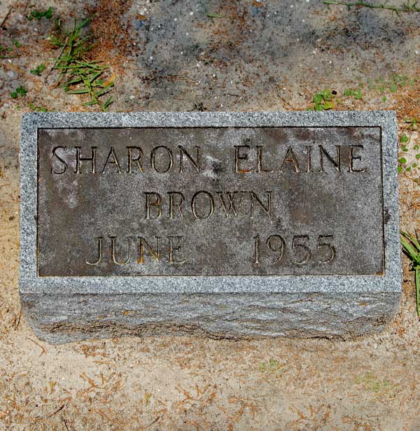 Sharon Elaine Brown Gravestone Photo