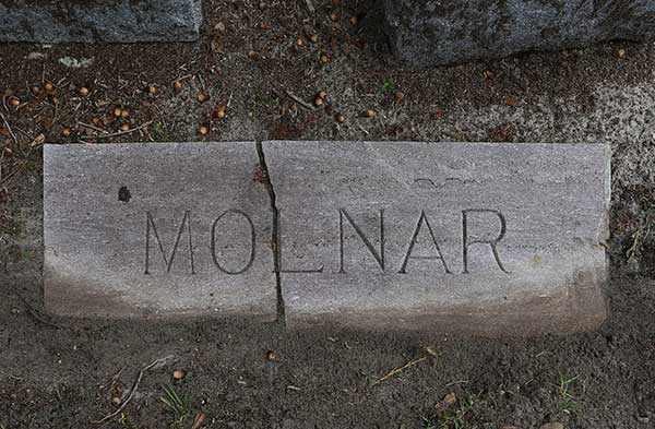  Molnar Gravestone Photo