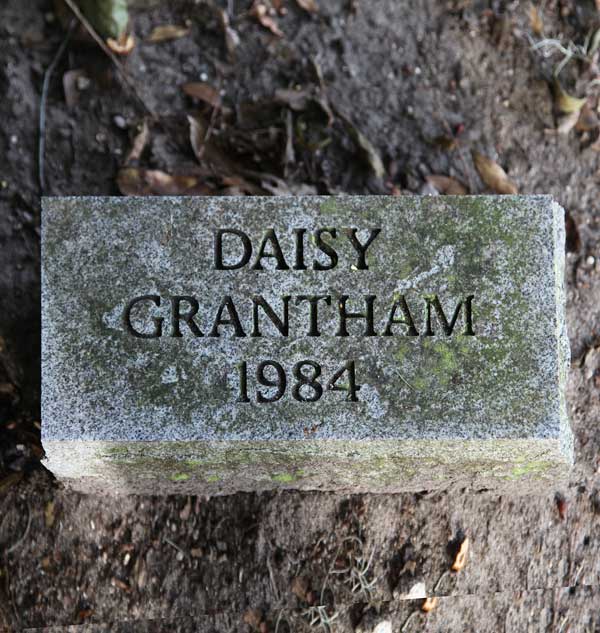 Daisy Grantham Gravestone Photo