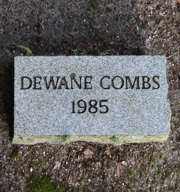 Dewane Combs Gravestone Photo
