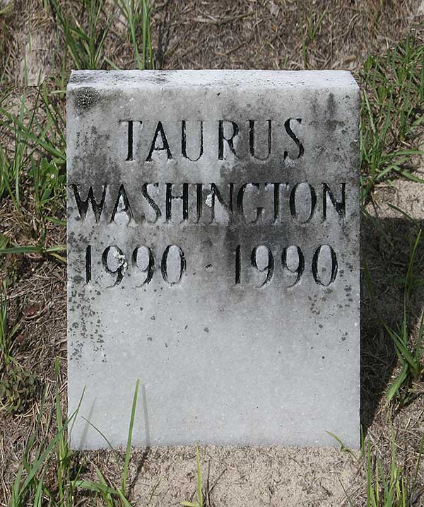 Taurus Washington Gravestone Photo