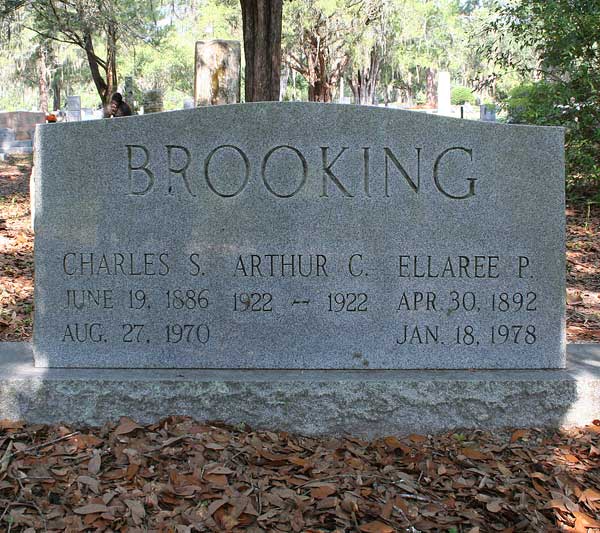 Charles S. & Arthur C. & Ellaree P. Brooking Gravestone Photo