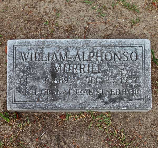 William Alphonso Murrill Gravestone Photo