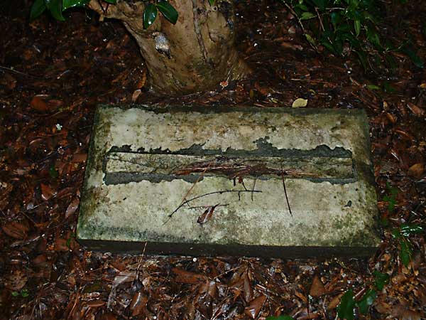 Unknown Gravestone Photo