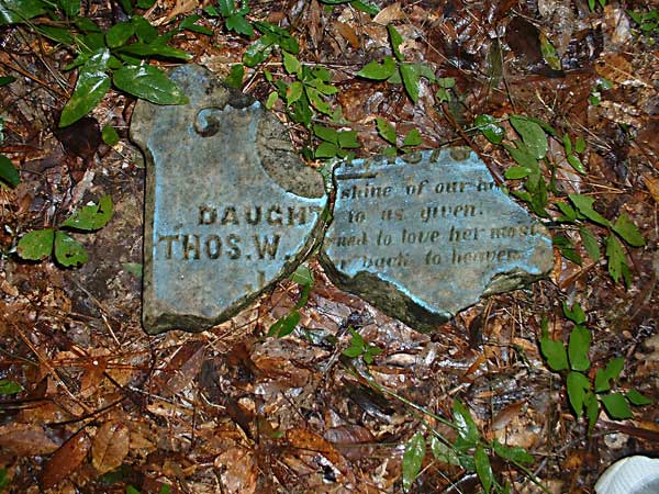 Sweet Mamie, daughter of Thomas W. & Maggie Jones Jones Gravestone Photo