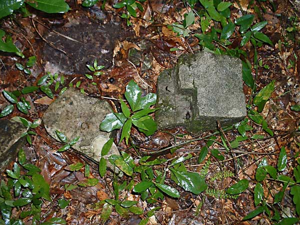  Unknown Gravestone Photo