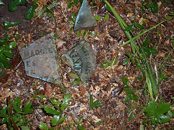 Infant son of Thomas  W. & Maggie Jones Jones Gravestone Photo