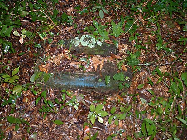 Unknown Gravestone Photo