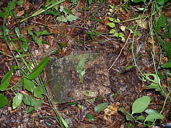  Unknown Gravestone Photo