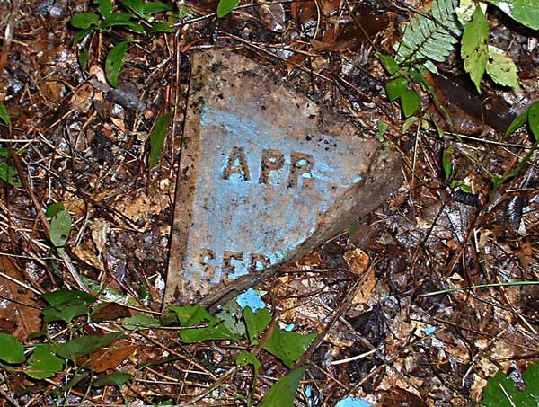  Unknown Gravestone Photo