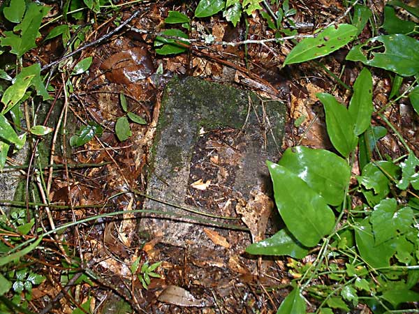  Unknown Gravestone Photo
