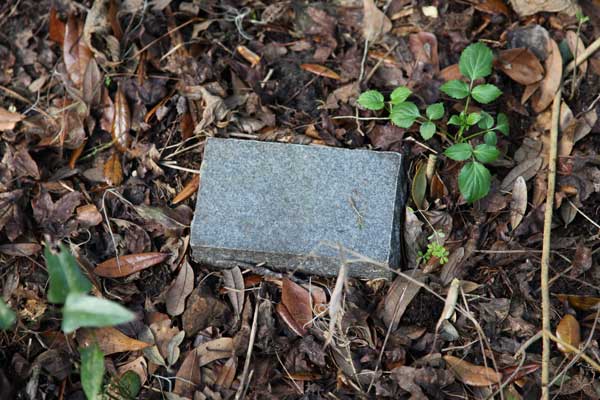 Unknown Gravestone Photo