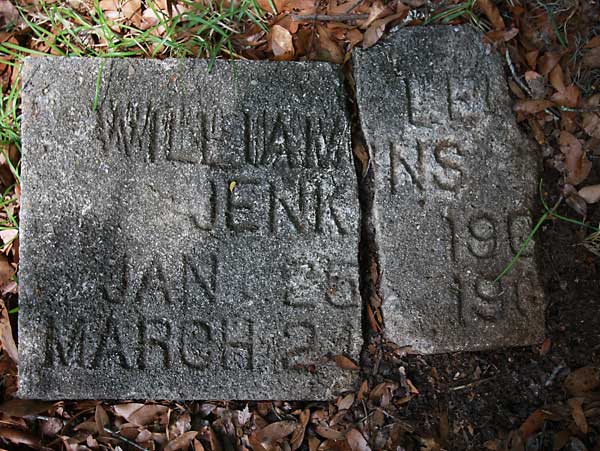 William Lee Jenkins Gravestone Photo