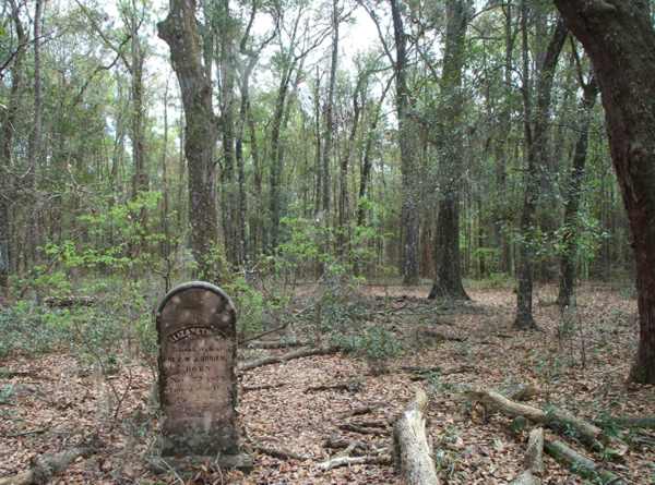  Sectional View Gravestone Photo