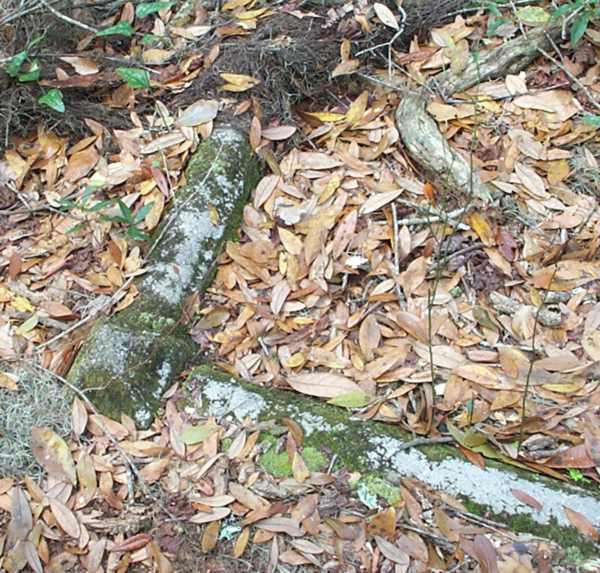  Detail Gravestone Photo