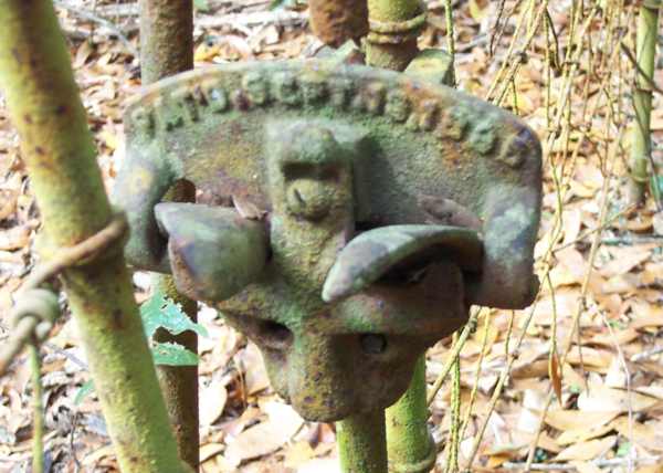  Detail Gravestone Photo