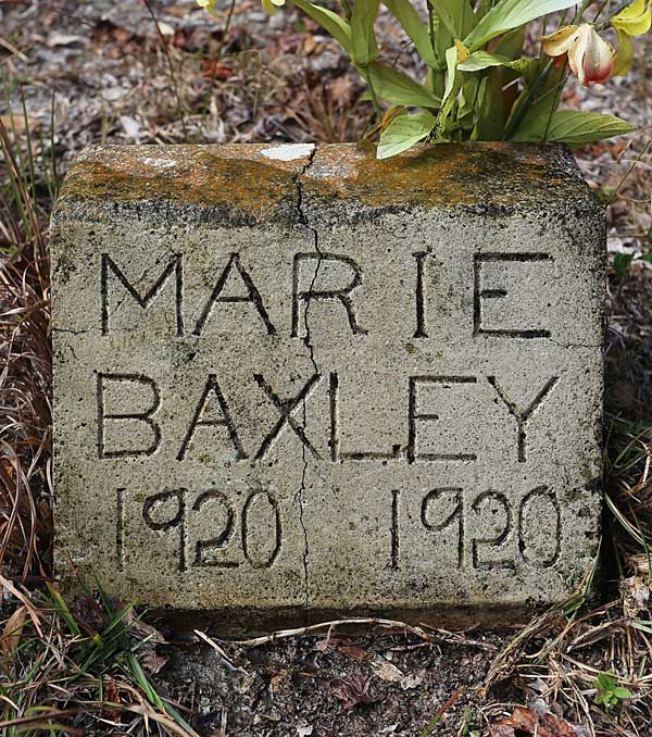 Marie Baxley Gravestone Photo