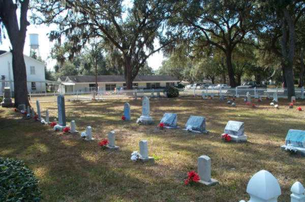 James Henry (Harris) Johnson Gravestone Photo