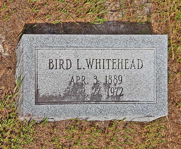 Bird L. Whitehead Gravestone Photo