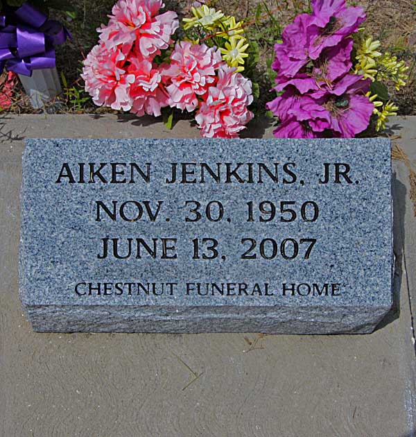 Aiken Jenkins Gravestone Photo