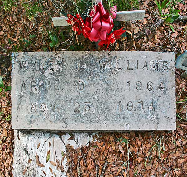 Wyley L. Williams Gravestone Photo