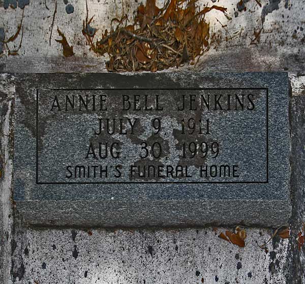 Annie Bell Jenkins Gravestone Photo