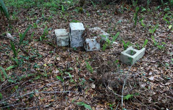  Unknown Gravestone Photo